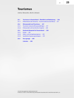 PDF-version - Springer Professional