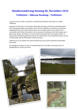 Hundewanderung November 2016