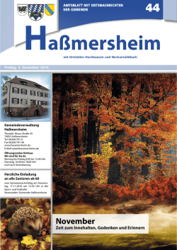 Ha&szlig;mersheim - lokalmatador.de