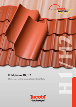 Hohlpfanne H1/H2 - EKO