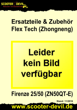 Flex Tech (Zhongneng) Firenze 25/50 (ZN50QT-E)