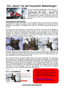 Ein &bdquo;Oscar&ldquo; f&uuml;r die Feuerwehr Wallerfangen