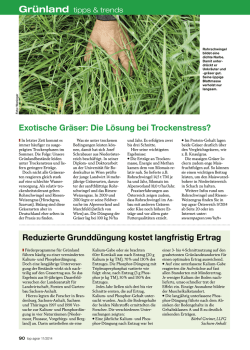 Exotische Gräser: Die Lösung bei Trockenstress? Reduzierte
