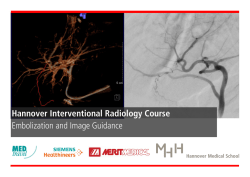 Hannover Interventional Radiology Course Embolization