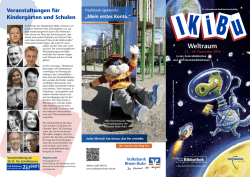 IKiBu-Programmflyer