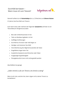 Durchfall bei Katzen &ndash; Wann muss ich zum Tierarzt?