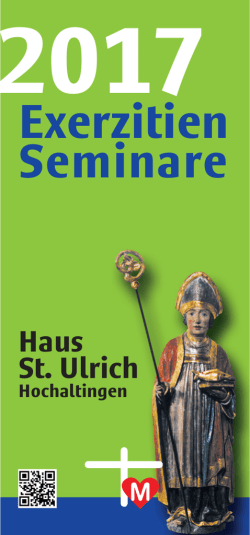 Programm 2017 als PDF