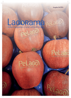 Informationen rund um`s PeLago