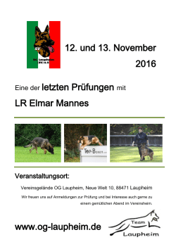 hier - SV OG Laupheim
