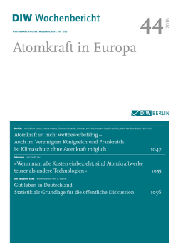 PDF 502 KB - DIW Berlin