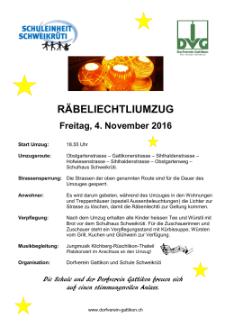Flyer - Schule Thalwil