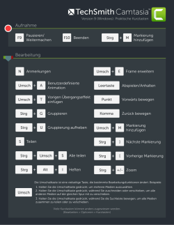 Hotkeys Mini Poster DE Win