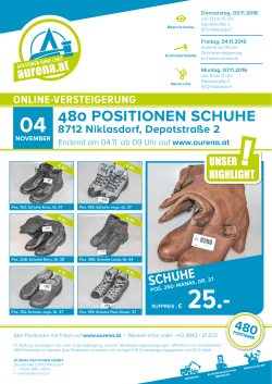 480 positionen schuhe - Aurena Auktionen GmbH