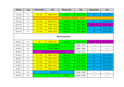 SV Raitersaich Hallenplan 2016