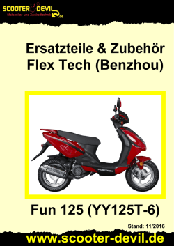 Flex Tech (Benzhou) Fun 125 (YY125T-6)