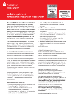 Abteilungsleiter/in Unternehmenskunden Hildesheim