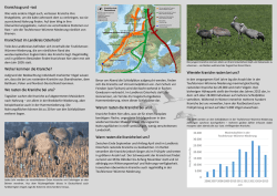 Infos zur Kranichrast! - Biologische Station Osterholz