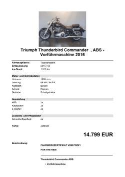 Detailansicht Triumph Thunderbird Commander €,€ABS