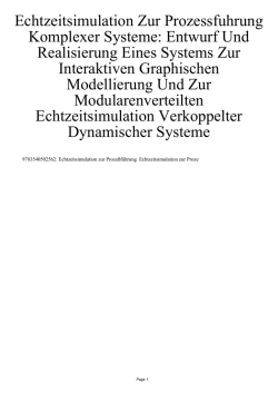 Echtzeitsimulation Zur Prozessfuhrung Komplexer Systeme: Entwurf