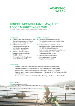 junior it-consultant (m/w) für adobe marketing cloud