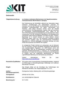 Doktorand/in - PSE