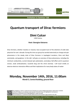 Quantum transport of Dirac fermions