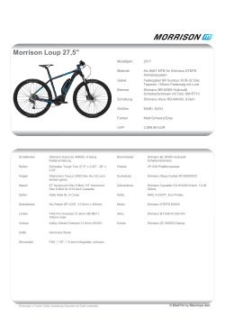 Morrison E-Bike Loup 27,5