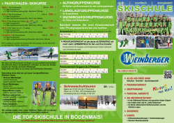 als pdf zum hier