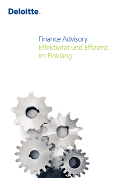 Finance Advisory Effektivität und Effizienz im Einklang