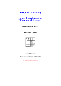 Skript zur Vorlesung Numerik stochastischer Differentialgleichungen