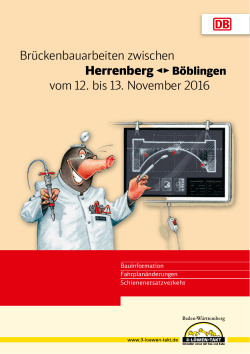 Infoblatt der DB Regio AG