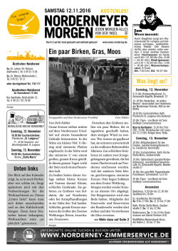 Ein paar Birken, Gras, Moos