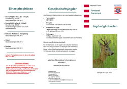 Flyer  - Hessen