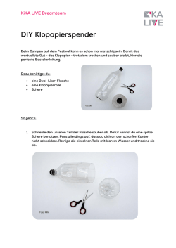 DIY Klopapierspender