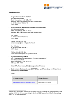 Kontaktdatenblatt - Netzgesellschaft Forst (Lausitz)