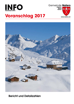 Voranschlag 2017 - Gemeinde Naters
