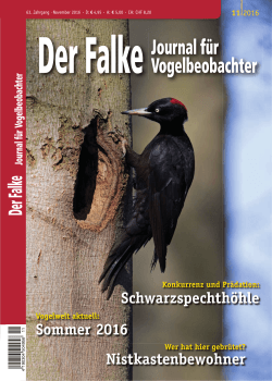 als PDF herunterladen - Dachverband Deutscher Avifaunisten