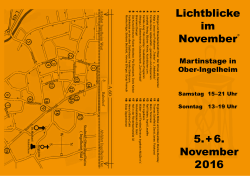 PDF Flyer zum - Lichtblicke im November