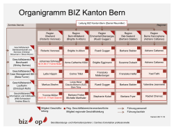 Organigramm BIZ Kanton Bern