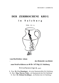 der zerbrochene Krug in Salzburg IX