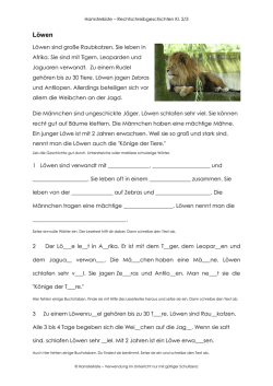 Löwen - Hamsterkiste