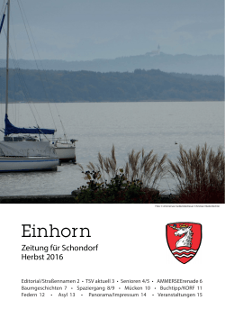 Einhorn - Schondorf