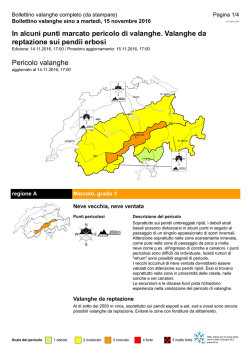 Produkt der Lawinenwarung