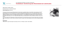 Herunterladen