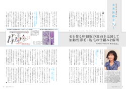 難治疾患研究所 幹細胞医学分野 西村栄美教授