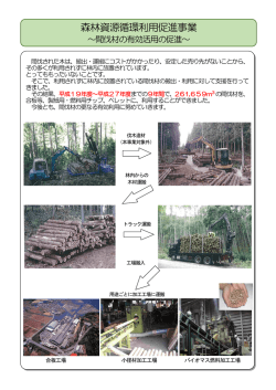 森林資源循環利用促進事業