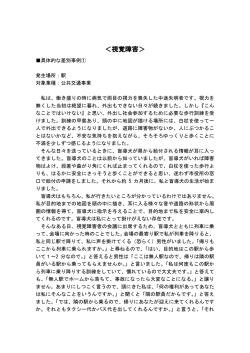 視覚障害（PDF：60KB）