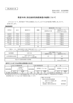 プレスリリース資料 (PDF documentファイル サイズ： 171Kb)