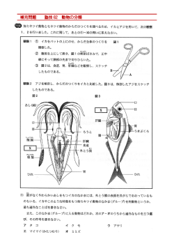 補充問題 塾技 62 動物の分類