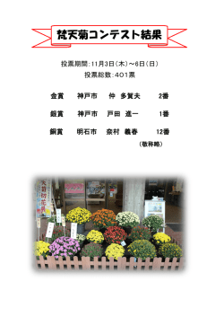 梵天菊コンテスト結果